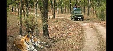 Hazaribagh Safari Tour